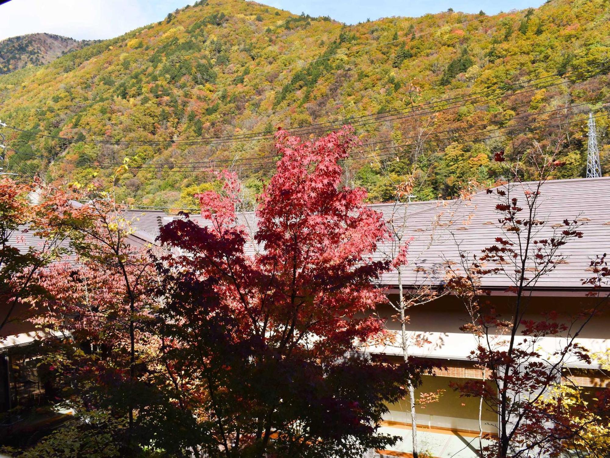 Keiryuso Siorie Hotel Matsumoto Exterior foto